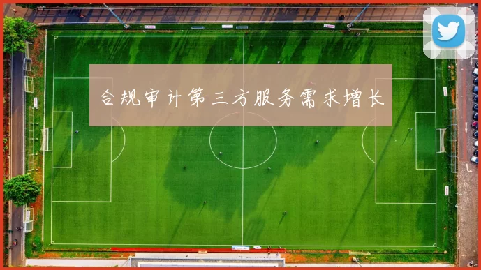 合规审计第三方服务需求增长