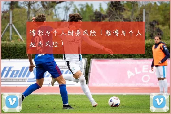博彩与个人财务风险（赌博与个人经济风险）