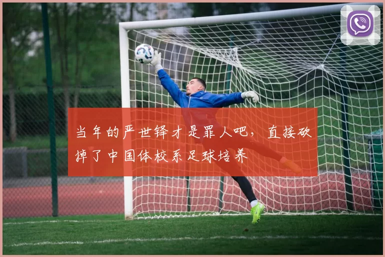 当年的严世铎才是罪人吧，直接砍掉了中国体校系足球培养