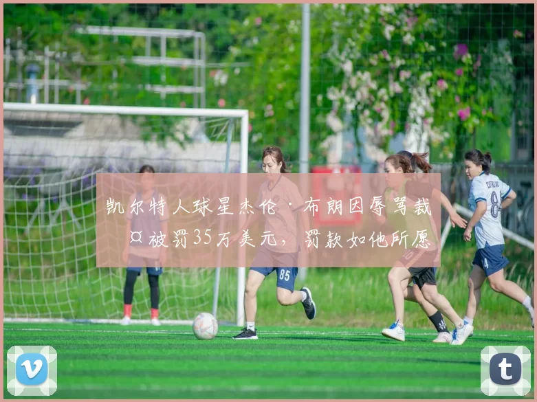 凯尔特人球星杰伦·布朗因辱骂裁判被罚35万美元，罚款如他所愿